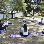 Gimnasio Los Robles