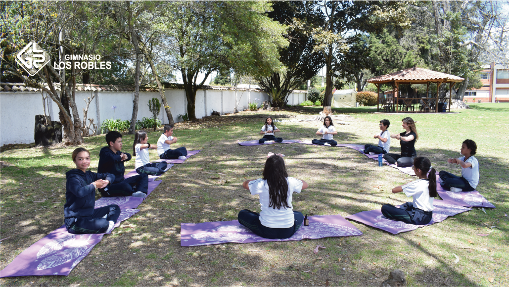 Gimnasio Los Robles